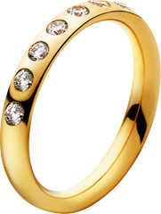 Golden Jewelry Ring